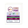 Ferro Print檢測模型
