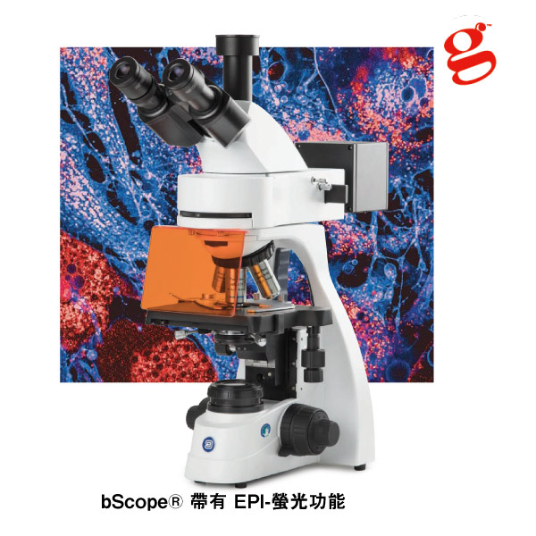 bScope® 帶有 EPI-螢光功能